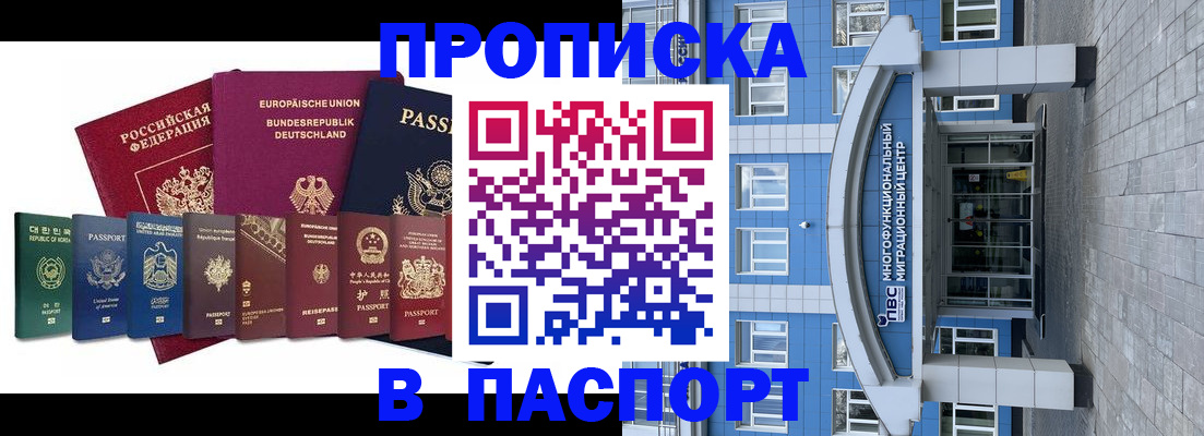 прописка штамп в Бабаево